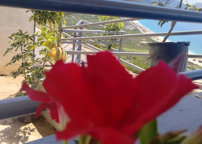 Appartamento Rafa's *